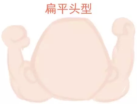ԲͷվɱͷЩ趼֪2.webp.jpg