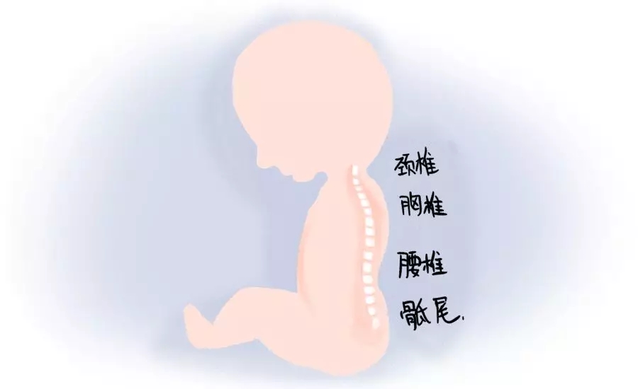 һڰʺƪһҪ1.webp.jpg